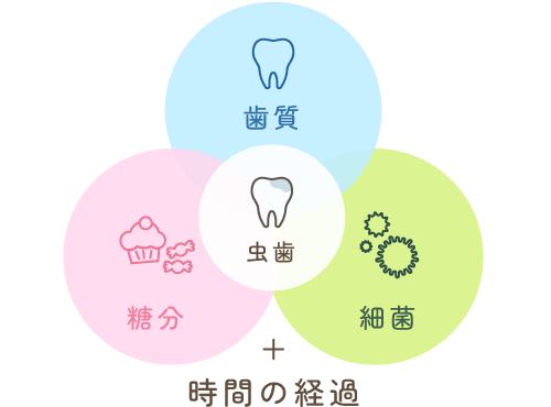 虫歯＝歯質・糖分・細菌＋時間の経過