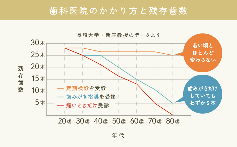 歯科医院のかかり方と残存歯数